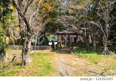 埼玉県鴻巣市滝馬室の氷川神社 124262085