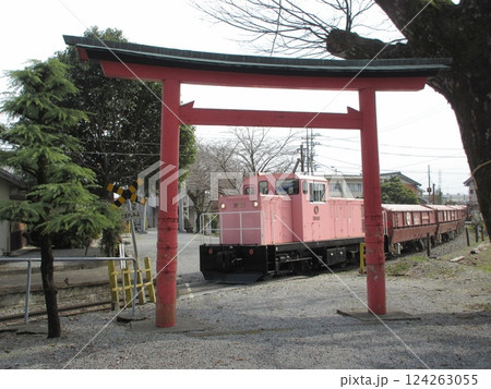 石引神社の境内を走る西濃鉄道の貨物列車 石引神社の境内を走る西濃鉄道の貨物列車 124263055