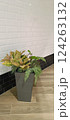A modern gray pot holds various green indoor plants, including ferns and patterned leaves, displayed against a stylish white brick wall with black trim 124263132