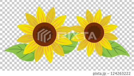 sunflower	 124263222