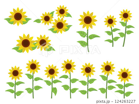 ひまわりのイラスト素材セット 124263227