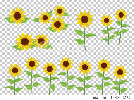 ひまわりのイラスト素材セット 124263227