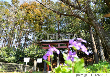 埼玉県鴻巣市滝馬室の氷川神社 埼玉県鴻巣市滝馬室の氷川神社 124263397