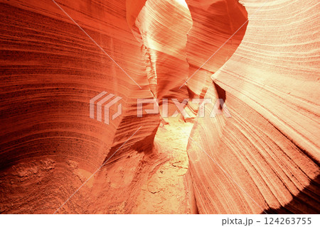 Rattlesnake Slot Canyon Arizona 124263755