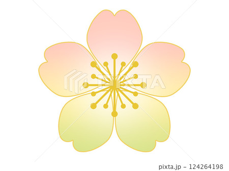 和柄の背景 124264198