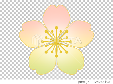 和柄の背景 124264198