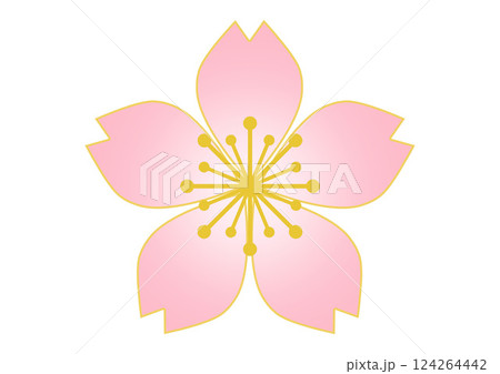 和柄の背景 124264442