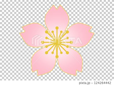 和柄の背景 124264442