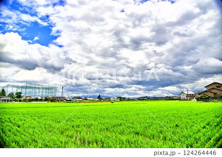 【群馬】伊勢崎　田畑 124264446