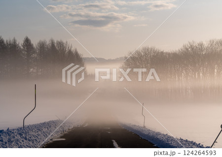北海道 十勝 並木 カラマツ 冬 雪 霧 霧氷 朝日 朝 北海道 十勝 並木 カラマツ 冬 雪 霧 霧氷 朝日 朝 124264593