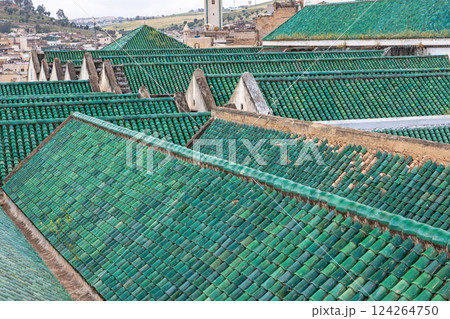 Higher angle view of green roofs of Al-Karaouine University. Fez. Morocco. 124264750