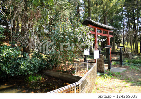 埼玉県鴻巣市滝馬室の氷川神社 埼玉県鴻巣市滝馬室の氷川神社 124265035