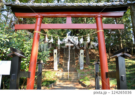 埼玉県鴻巣市滝馬室の氷川神社 埼玉県鴻巣市滝馬室の氷川神社 124265036