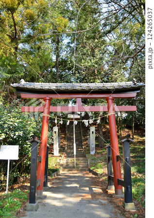 埼玉県鴻巣市滝馬室の氷川神社 埼玉県鴻巣市滝馬室の氷川神社 124265037