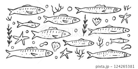 Fishes doodle set. Sardines hand drawn scribble School of fish in the sea. Vector monochrome nautical illustration by pencil isolated on white background. Crayon or chalk naive underwater life 124265381