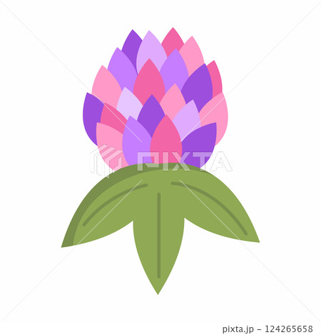 clover flower on white background. postcard decoration element. clover flower on white background. postcard decoration element. 124265658