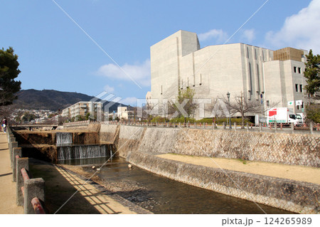 芦屋川を西側からルナホールを見る 124265989