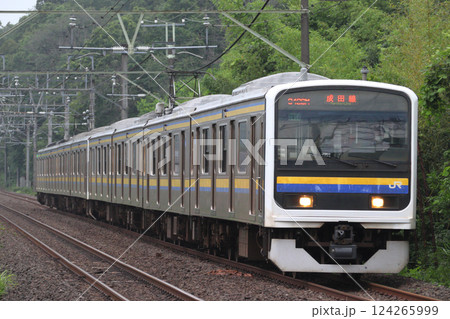成田線209系2000番台 124265999