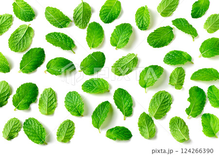 Fresh peppermint isolated on white background. top view of Peppermint leaf, It is widely used in food, beverages, cosmetics, and medicinal products due to its natural menthol content. background 124266390