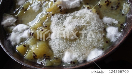 いろいろなカビが生えたジャム 124266709