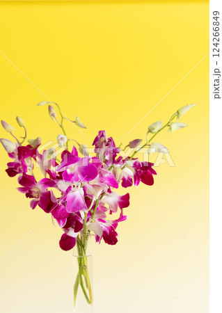 花瓶に生けたデンファレ イエローバージョン 花瓶に生けたデンファレ イエローバージョン 124266849