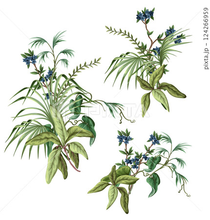 Exotic trees, leaves and flowers isolated. Vector. 124266959
