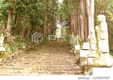 長興山　紹太寺　石段 124267007