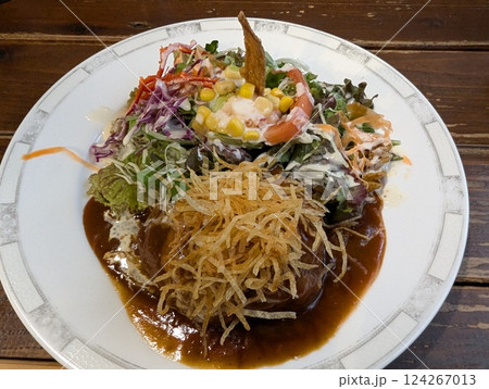 ハンバーグ 124267013