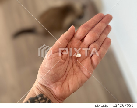Female hand with white pill on room background. Medicine and antidepressant concept 124267059