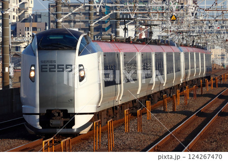 特急成田エクスプレス：E259系電車 124267470