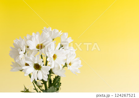 花瓶に生けた小菊　イエローバージョン 124267521