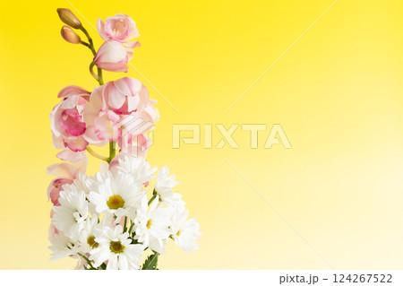 花瓶に生けた小菊と蘭の花　イエローバージョン 124267522