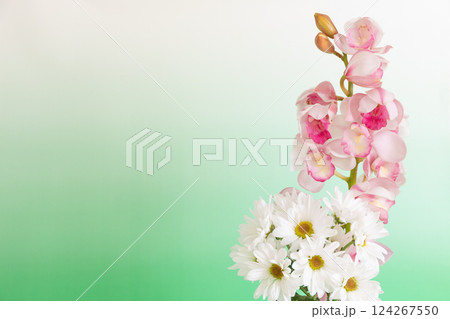 花瓶に生けた小菊と蘭の花 グリーンバージョン 花瓶に生けた小菊と蘭の花 グリーンバージョン 124267550