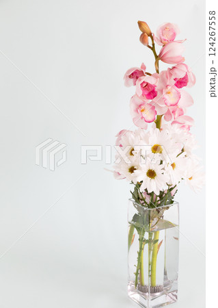 花瓶に生けた小菊と蘭の花 ホワイトバージョン 花瓶に生けた小菊と蘭の花 ホワイトバージョン 124267558