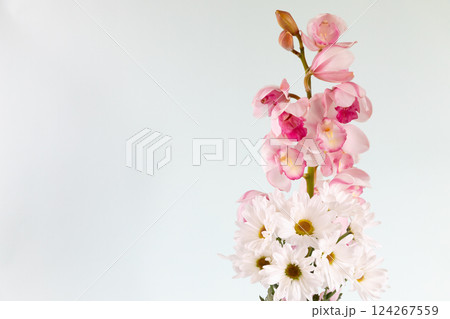 花瓶に生けた小菊と蘭の花　ホワイトバージョン 124267559