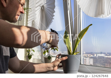 Man spraying indoor plants on the windowsill Man spraying indoor plants on the windowsill 124267648