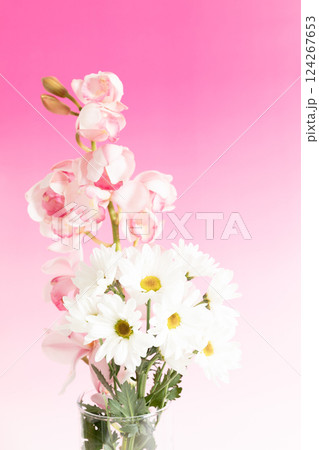 花瓶に生けた小菊と蘭の花 ピンクバージョン 花瓶に生けた小菊と蘭の花 ピンクバージョン 124267653