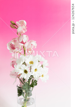 花瓶に生けた小菊と蘭の花 ピンクバージョン 花瓶に生けた小菊と蘭の花 ピンクバージョン 124267654