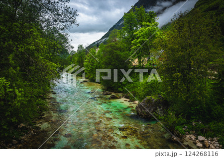 Beautiful Soca river in the fresh green forest, Bovec, Slovenia Beautiful Soca river in the fresh green forest, Bovec, Slovenia 124268116