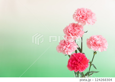 花瓶に生けたカーネーション　グリーンバックバージョン 124268304