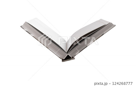 Open book, literature and education concept, textbook for study, library, and academic learning. Open book, literature and education concept, textbook for study, library, and academic learning. 124268777