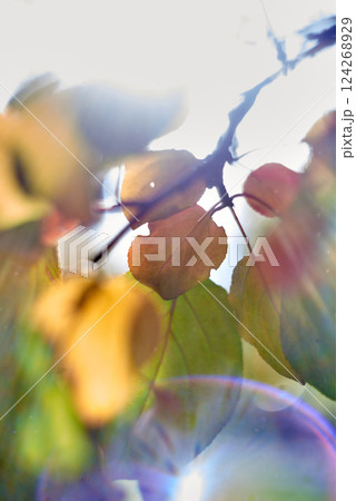 Abstract floral background with leaves on blurred background 124268929
