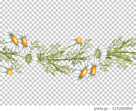 Chamomile seamless border. Hand drawn illustration - frame with daisy flowers. Chamomile seamless border. Hand drawn illustration - frame with daisy flowers. 124268960