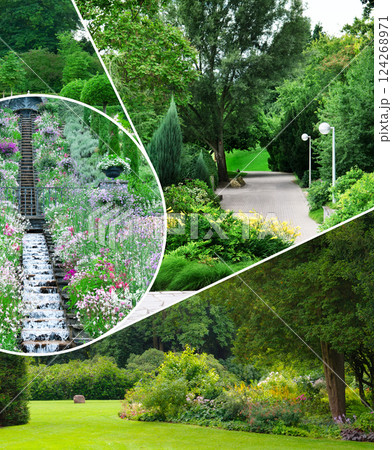 Beautiful garden with coniferous and deciduous trees. Collage. Mosaic pattern. Beautiful garden with coniferous and deciduous trees. Collage. Mosaic pattern. 124268971