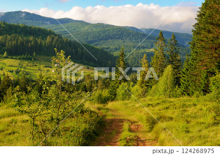 Picturesque mountain landscape with mountain ranges, coniferous forests and blue sky. Picturesque mountain landscape with mountain ranges, coniferous forests and blue sky. 124268975