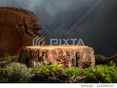 Composition with natural wood, moss and lichen for advertising eco products. 124269325