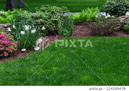 A lush park scene with vibrant green grass and a variety of plants and flowers. Vibrant Green Park Scene A lush park scene with vibrant green grass and a variety of plants and flowers. Vibrant Green Park Scene 124269436