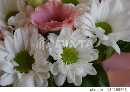 Elegant Mix of Chrysanthemums and Daisies 124269468