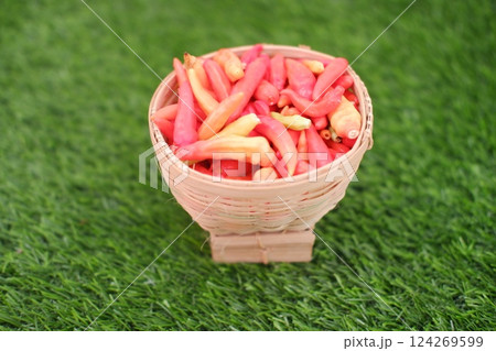 Red and yellow chilli in rattan basket on green grass Red and yellow chilli in rattan basket on green grass 124269599