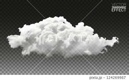 Vector realistic cloud, smoke or fog on isolated transparent background. Cloud, fog. 124269987
